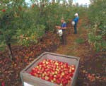Fruit Growers NSW