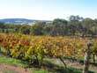 List of Wineries and Vineyards SA