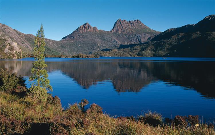 Fruit Picking jobs Tasmania