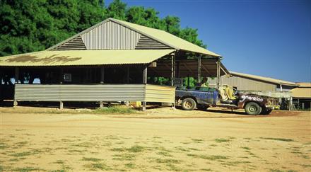 Outback farm